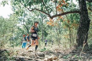 BIB: 
                            <button type="button" onclick="openModal(26096420)" class="btn btn-primary btn-sm float-right btn-popup" data-toggle="modal" data-target=".modal-high-quality">
                        <i class="fas fa-shopping-cart"></i> Add to Cart
                    </button>
                                            <button type="button" onclick="isThisMe(26096420, true)" class="btn btn-success btn-sm float-right btn-popup btn-isme hidden" data-toggle="tooltip" data-placement="bottom" title="นี่คือรูปของคุณใช่ไหม คลิกที่นี่เพื่อเอาเข้าอัลบั้ม">
                        <i class="fas fa-plus"></i> Add to album
                    </button>
                    <button type="button" onclick="isThisMe(26096420, false)" class="btn btn-warning btn-sm float-right btn-popup btn-isnotme hidden">
                        <i class="fas fa-ban"></i> Remove from album
                    </button>